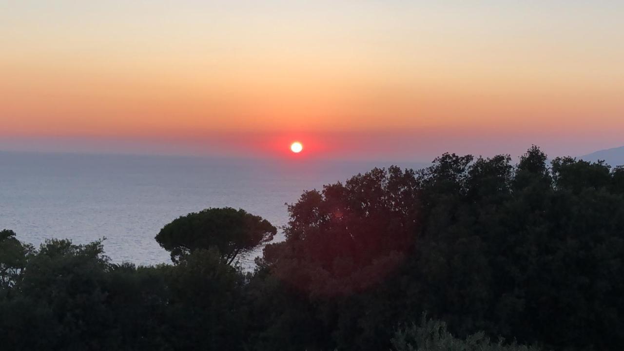 La Draghina B&B Capri Anacapri  Luaran gambar